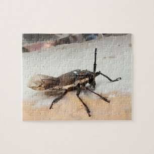 Niedlich-brauner Insektenkäfer Puzzle