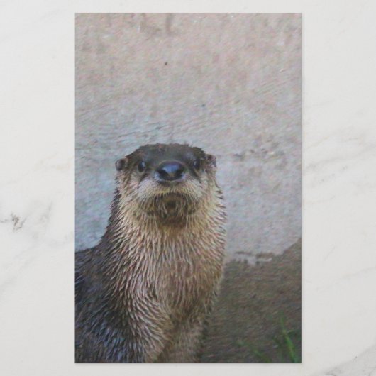 Niedlich Briefpapier (Vorderseite)