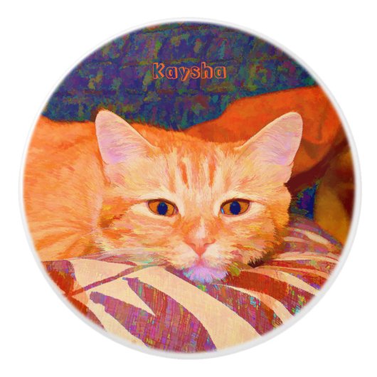 Niedlich Bright Orange Tabby Cat Keramikknauf (Vorderseite)