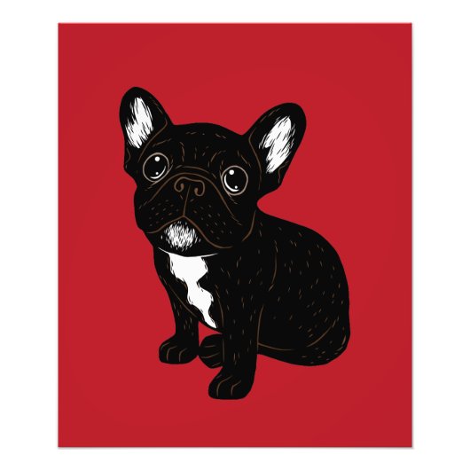 Niedlich Brindle Frenchie Puppy Fotodruck (Vorne)