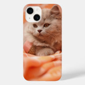 Niedlich British Shorthair Cat Case-Mate iPhone Hülle (Rückseite)