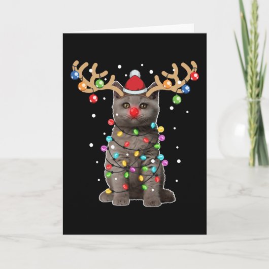 Niedlich British Shorthair Cat Funny Christmas Hol Karte (Vorderseite)
