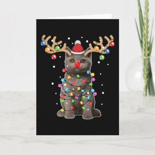 Niedlich British Shorthair Cat Funny Christmas Hol Karte
