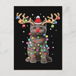 Niedlich British Shorthair Cat Funny Christmas Hol Postkarte