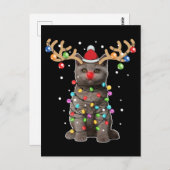 Niedlich British Shorthair Cat Funny Christmas Hol Postkarte (Vorne/Hinten)