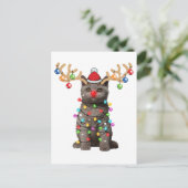 Niedlich British Shorthair Cat Funny Christmas Hol Postkarte (Stehend Vorderseite)