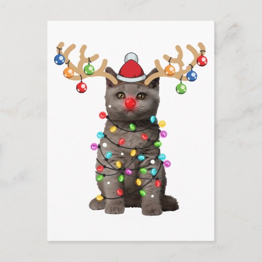 Niedlich British Shorthair Cat Funny Christmas Hol Postkarte (Vorderseite)