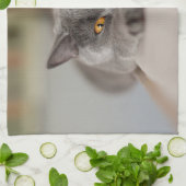 Niedlich British Shorthair Cat Geschirrtuch (Gefaltet)