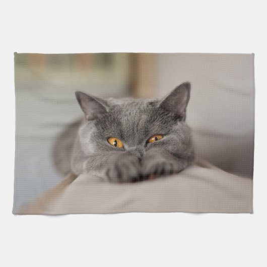 Niedlich British Shorthair Cat Geschirrtuch (Horizontal)