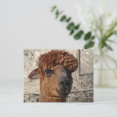 Niedlich Brown Alpáca DIY Postkarte (Stehend Vorderseite)