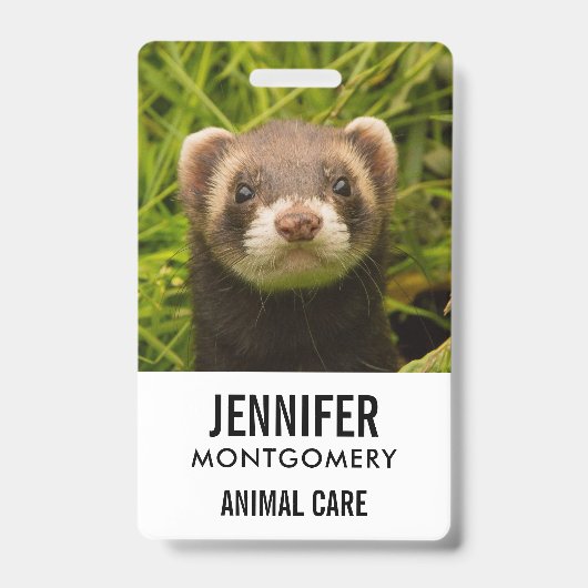 Niedlich Brown Ferret im Gras Ausweis (Vorderseite)