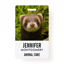 Niedlich Brown Ferret im Gras