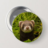Niedlich Brown Ferret im Gras Button (Vorne & Hinten)