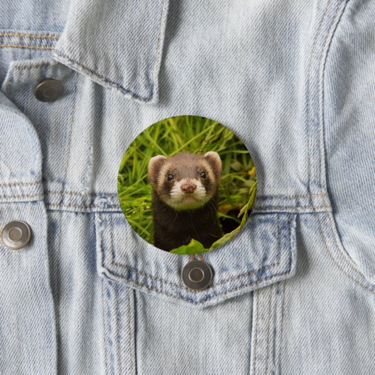Niedlich Brown Ferret im Gras Button (Beispiel)