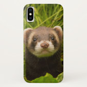 Niedlich Brown Ferret im Gras Case-Mate iPhone Hülle (Rückseite)