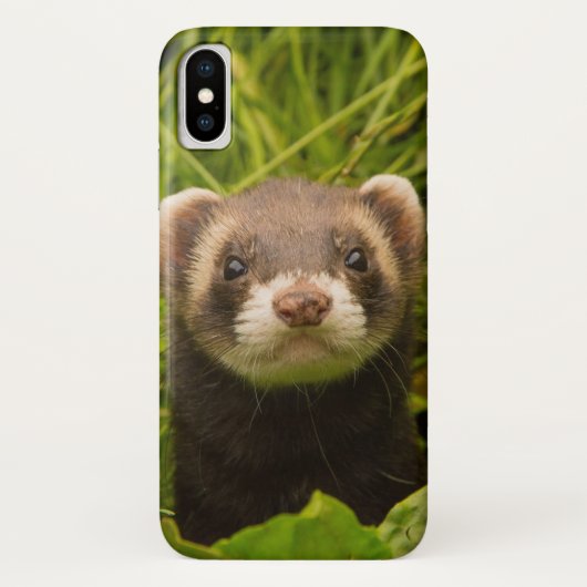 Niedlich Brown Ferret im Gras Case-Mate iPhone Hülle (Rückseite)