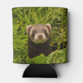 Niedlich Brown Ferret im Gras-Foto Dosenkühler (Rückseite)