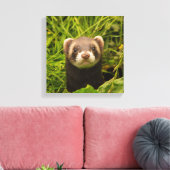 Niedlich Brown Ferret im Gras-Foto Leinwanddruck (Insitu (Wohnzimmer))