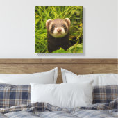 Niedlich Brown Ferret im Gras-Foto Leinwanddruck (Insitu (Schlafzimmer))