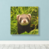 Niedlich Brown Ferret im Gras-Foto Leinwanddruck (Insitu (Holzboden))