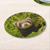 Niedlich Brown Ferret im Gras-Foto Runder Pappuntersetzer (Angewinkelt)