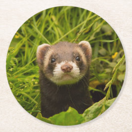Niedlich Brown Ferret im Gras-Foto Runder Pappuntersetzer
