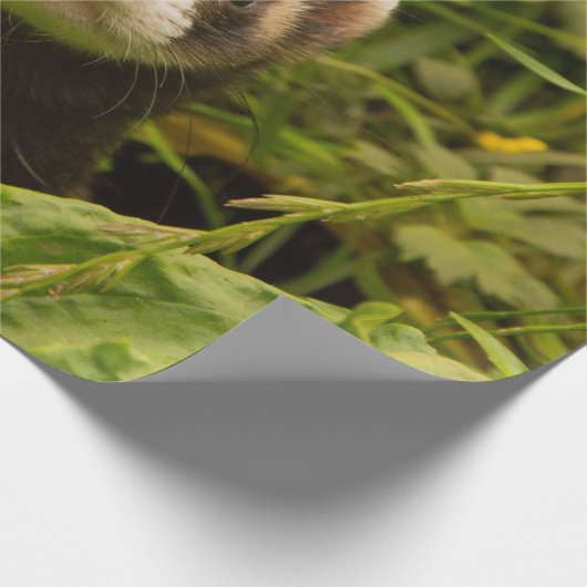 Niedlich Brown Ferret im Gras Geschenkpapier (Ecke)