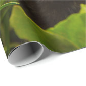 Niedlich Brown Ferret im Gras Geschenkpapier (Rolleneckpunkt)