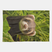 Niedlich Brown Ferret im Gras Geschirrtuch (Horizontal)