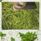 Niedlich Brown Ferret im Gras Geschirrtuch (Gefaltet)