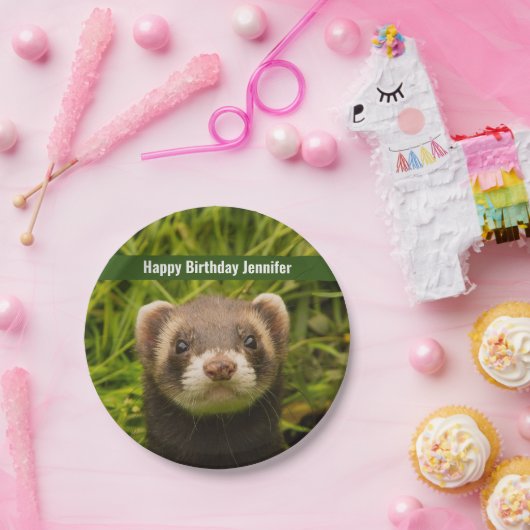 Niedlich Brown Ferret im Gras Glückwunsch zum Gebu Pappteller (Party)
