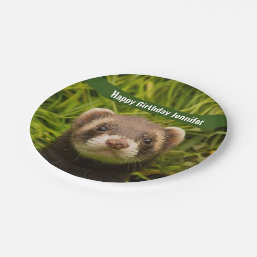 Niedlich Brown Ferret im Gras Glückwunsch zum Gebu Pappteller (Schrägansicht)