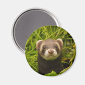 Niedlich Brown Ferret im Gras Magnet (Vorderseite/Rückseite)