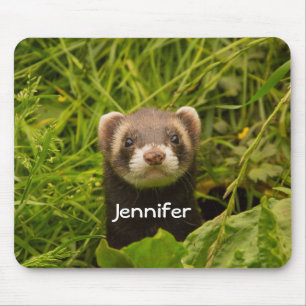 Niedlich Brown Ferret im Gras Mousepad