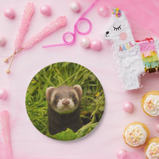 Niedlich Brown Ferret im Gras Pappteller (Party)