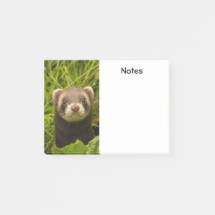 Niedlich Brown Ferret im Gras Post-it Klebezettel