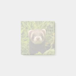 Niedlich Brown Ferret im Gras Post-it Klebezettel