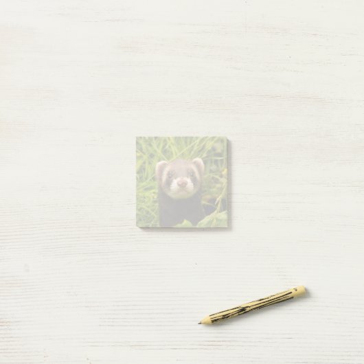 Niedlich Brown Ferret im Gras Post-it Klebezettel (Auf Schreibtisch)