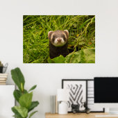 Niedlich Brown Ferret im Gras Poster (Heimbüro)