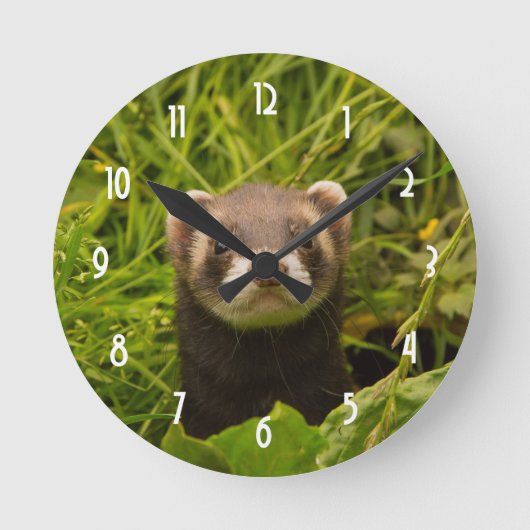 Niedlich Brown Ferret im Gras Runde Wanduhr (Vorderseite)