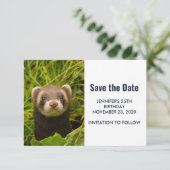 Niedlich Brown Ferret im Gras Save The Date (Stehend Vorderseite)