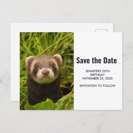 Niedlich Brown Ferret im Gras Save the Date Einladungspostkarte (Vorne/Hinten)