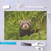 Niedlich Brown Ferret im Gras Seidenpapier (Handwerk)