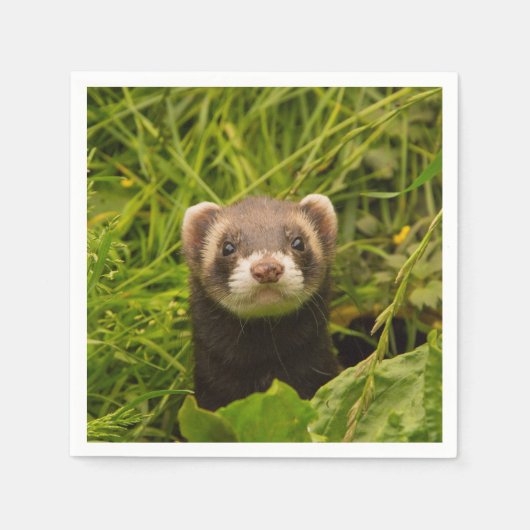 Niedlich Brown Ferret im Gras Serviette (Vorderseite)