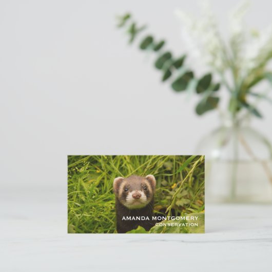 Niedlich Brown Ferret im Gras Visitenkarte (Stehend Vorderseite)
