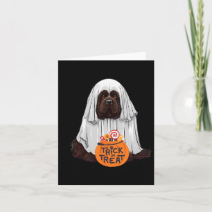 Niedlich Brown Newfundland Hund Halloween Karte