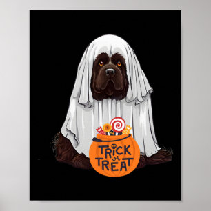 Niedlich Brown Newfundland Hund Halloween Poster