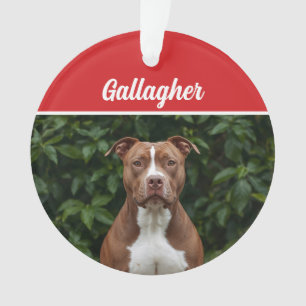 Niedlich Brown Pit Bull Dog Weihnachtsfeiertag Fot Ornament