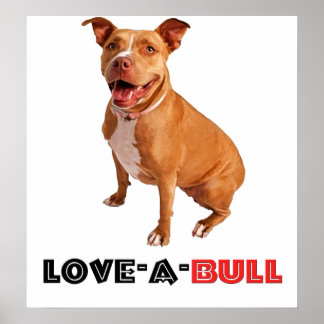 Niedlich Brown Pittie Liebe-a-Bull Poster