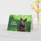Niedlich Brown Tortoiseshell Cat Foto Geburtstag Karte (Gelbe Blume)